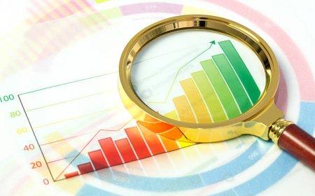 India’s Economic Policies: A Libertarian Perspective