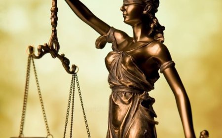 Country's Social Policies: A Libertarian Perspective