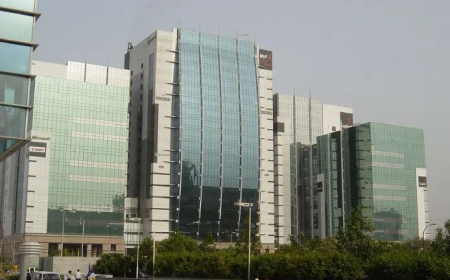 Libertarianism and Gurgaon: The Case for Private Cities