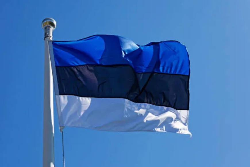 Estonia: A Libertarian Economic Success Story