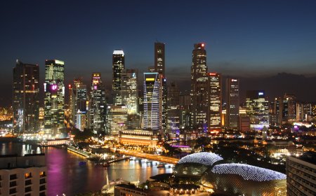 Case Study: Singapore – A Model of Libertarian Principles in Action