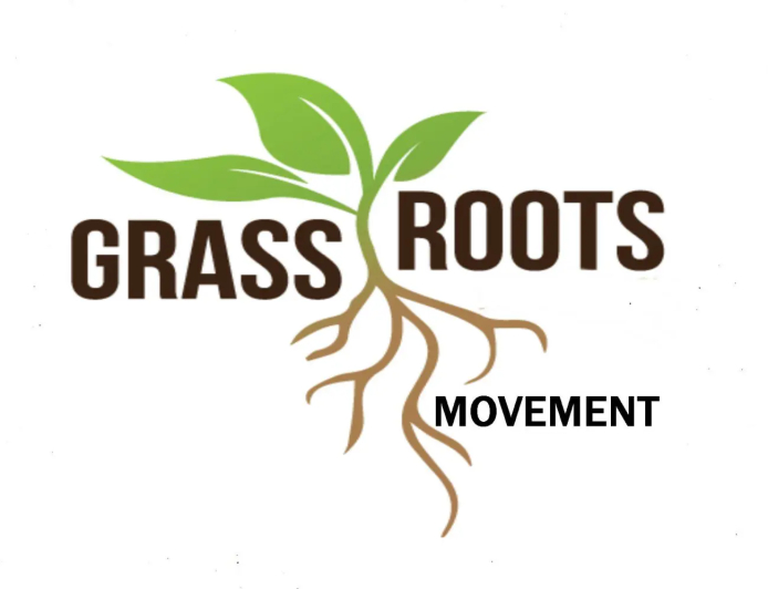 Grassroots Movements: Educating and Empowering Communities for Change
