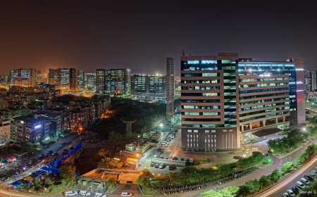 India’s Tech Boom: Could It Have Happened Under a Command Economy?