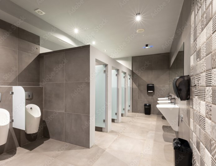 Why India’s Public Toilets Are Missing (And How Libertarians Would Fix This Problem)