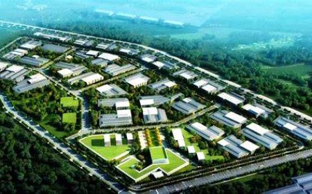 Special Economic Zones (SEZs): Do They Work or Just Benefit the Elite?