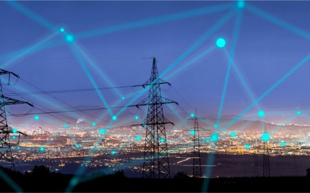 Power to the People: Can Private Companies End India’s Electricity Shortage?