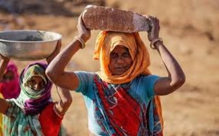 The NREGA Illusion: Does India’s Rural Employment Scheme Really Help the Poor?
