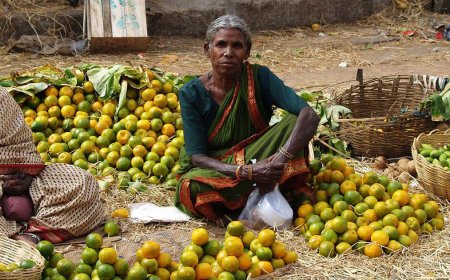 The Parallel Economy: How Informal Businesses Keep India Afloat